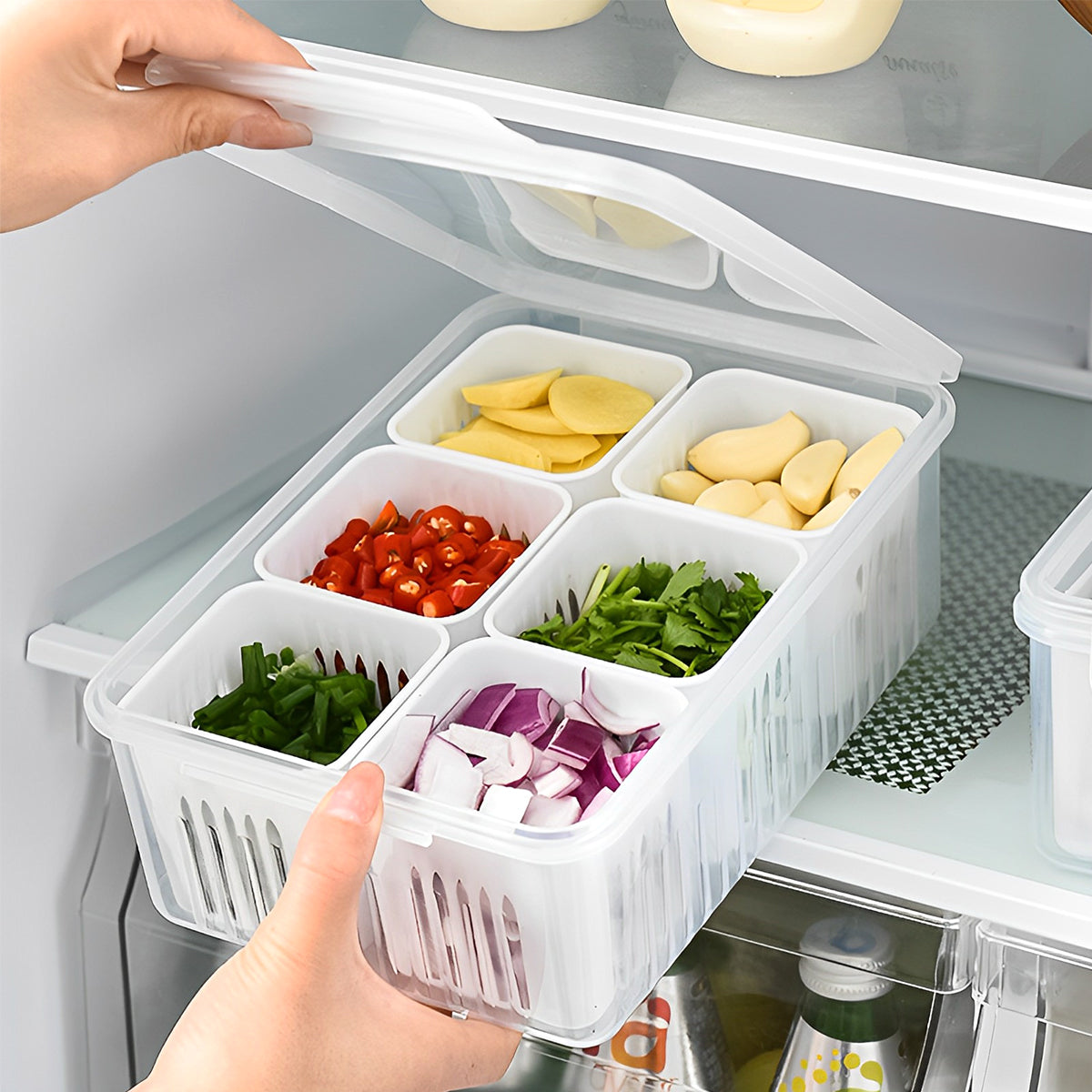 Food Containers with Detachable Grid Boxes